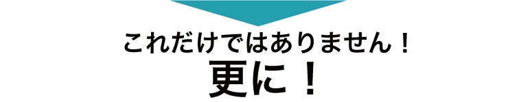 これだけではありません！更に！